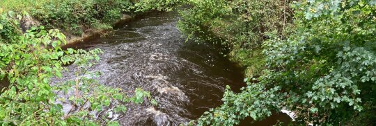 Fluss Loisach umgeben von Wald 