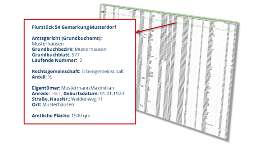 Darstellung einer Textdatei mit einer Zusammenstellung der darin enthaltenen Informationen